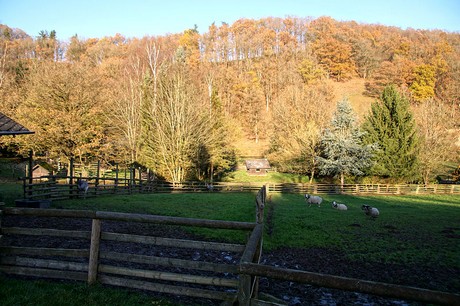 luenebach
