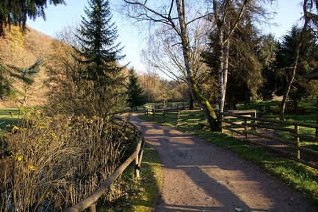 luenebach