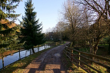 luenebach