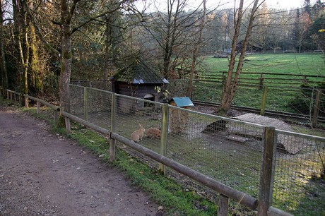 luenebach