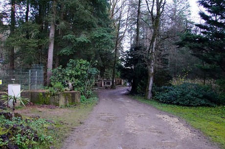 luenebach