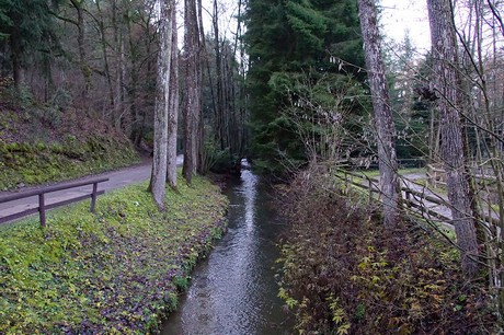 luenebach