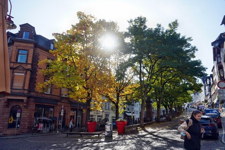 Marburg