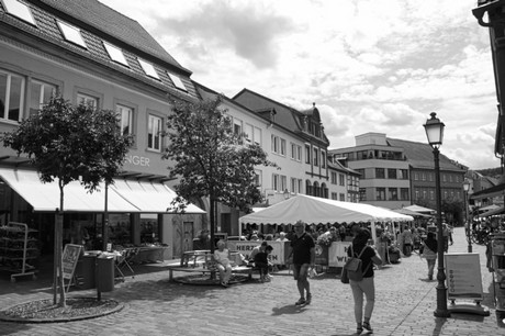 Marktheidenfeld