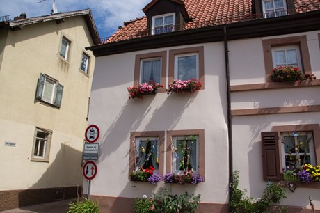 Marktheidenfeld