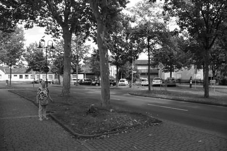 Marktheidenfeld