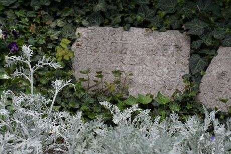 Mehlem