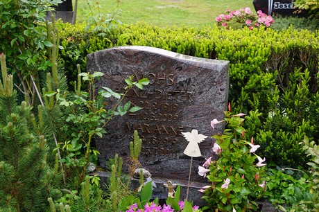 Mehlem
