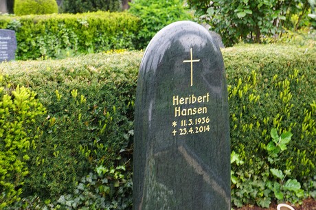 Mehlem