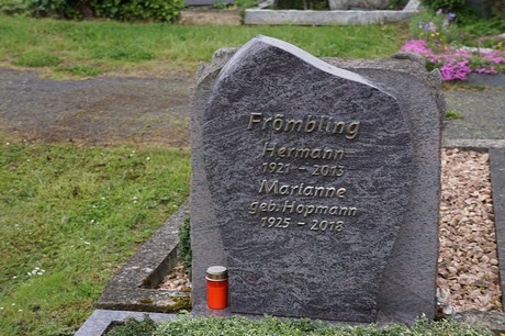 Mehlem