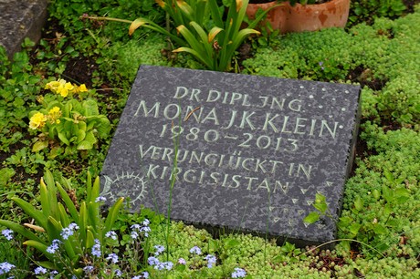 Mehlem