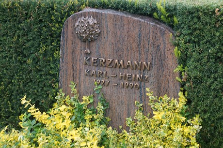Mehlem