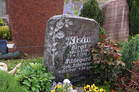 Mehlem