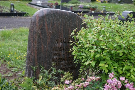 Mehlem