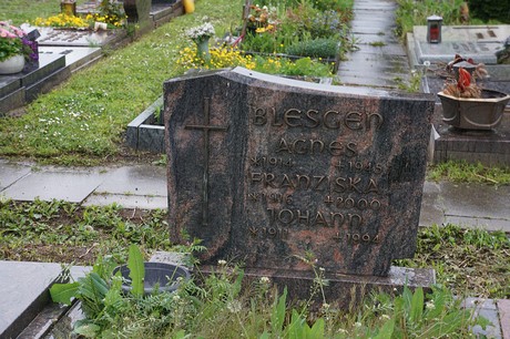 Mehlem