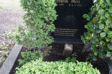 Mehlem