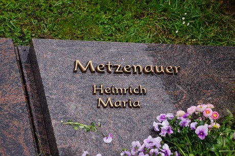 Mehlem