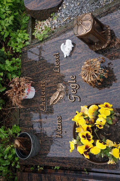 Mehlem