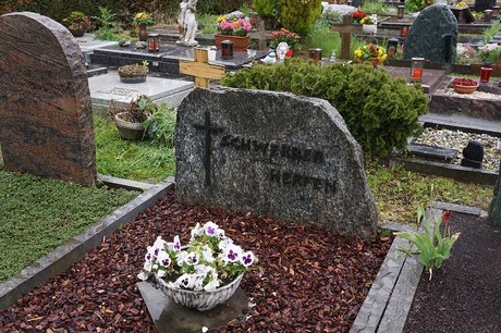 Mehlem