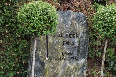 Mehlem