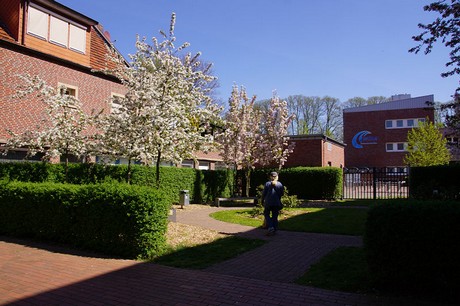 Meppen