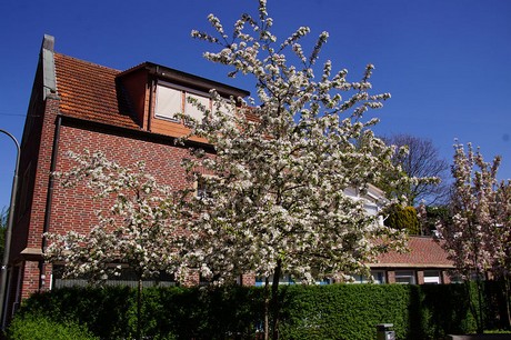 Meppen