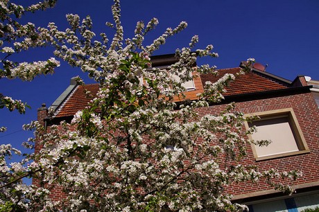 Meppen