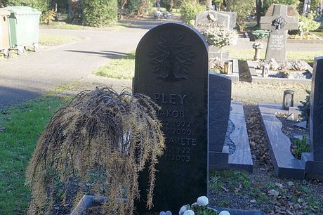 Merken