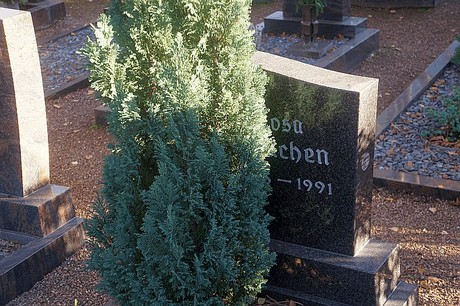 Merken