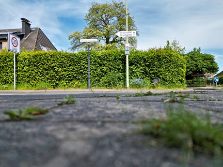 Merode
