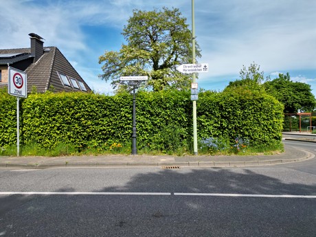 Merode