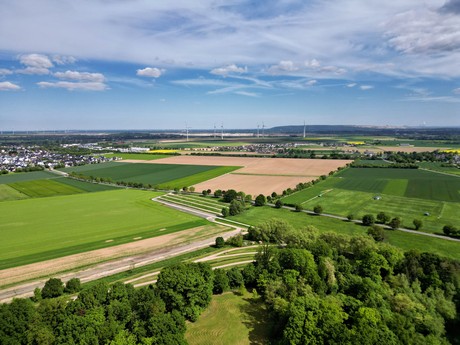 Merode