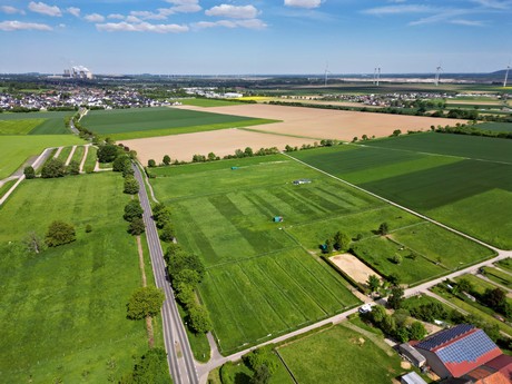 Merode