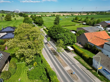 Merode