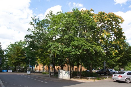 Merseburg