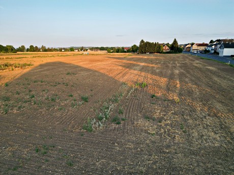 Merten