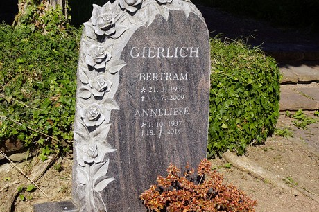 Merten