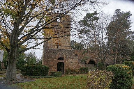 Merzenich