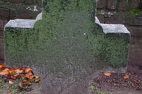 Merzenich