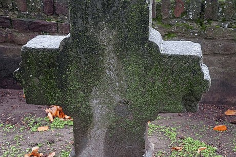 Merzenich