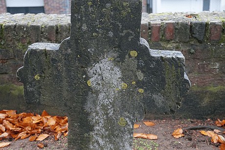 Merzenich