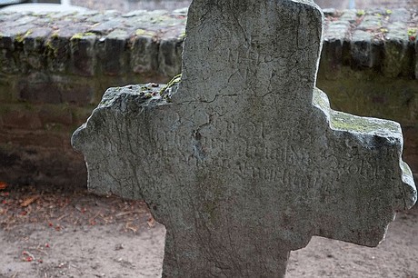 Merzenich