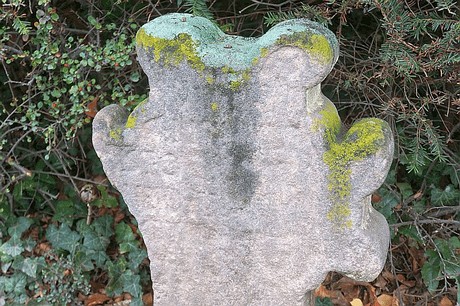 Merzenich