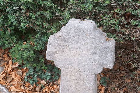 Merzenich