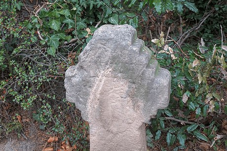 Merzenich