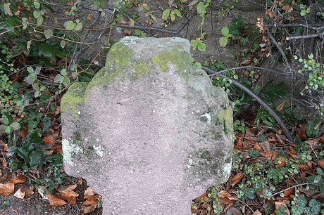 Merzenich