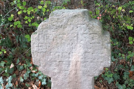 Merzenich