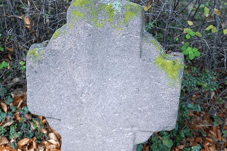 Merzenich