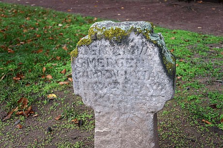 Merzenich