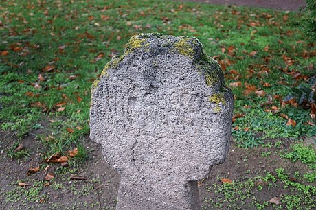 Merzenich